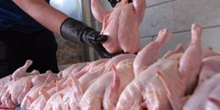 جریمه ۴ میلیارد ریالی برای عرضه خارج از شبکه ۱۰ هزار کیلوگرم مرغ در یاسوج